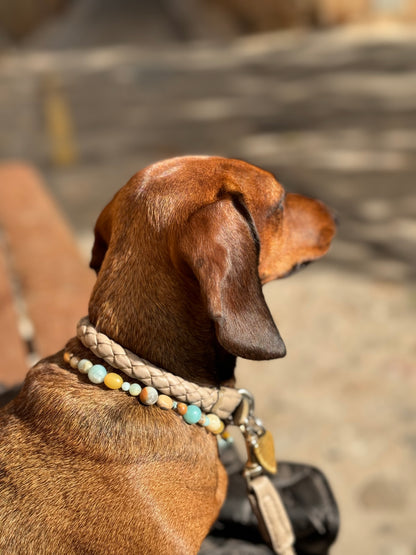 WEB16 Dog Collar Semi-Precious Stones
