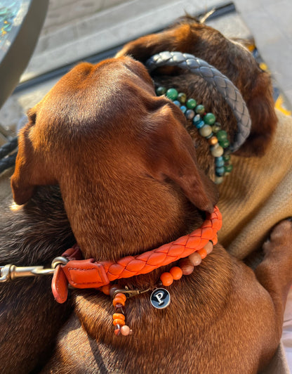 WEB62 Dog Collar Semi-Precious Stones