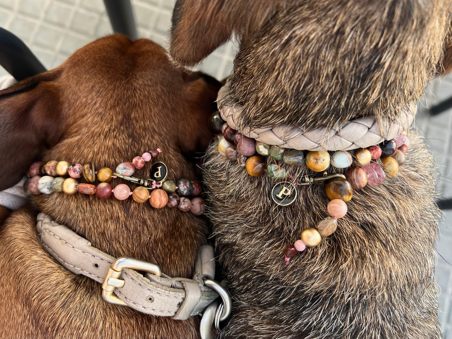 WEB4 Dog Collar Semi-Precious Stones