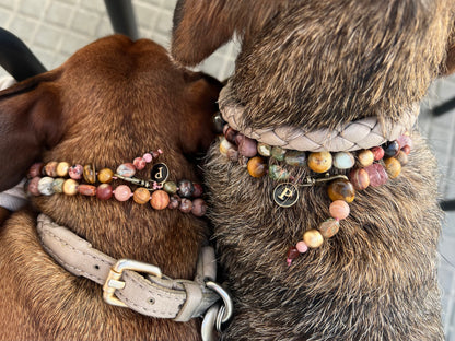 WEB4 Dog Collar Semi-Precious Stones